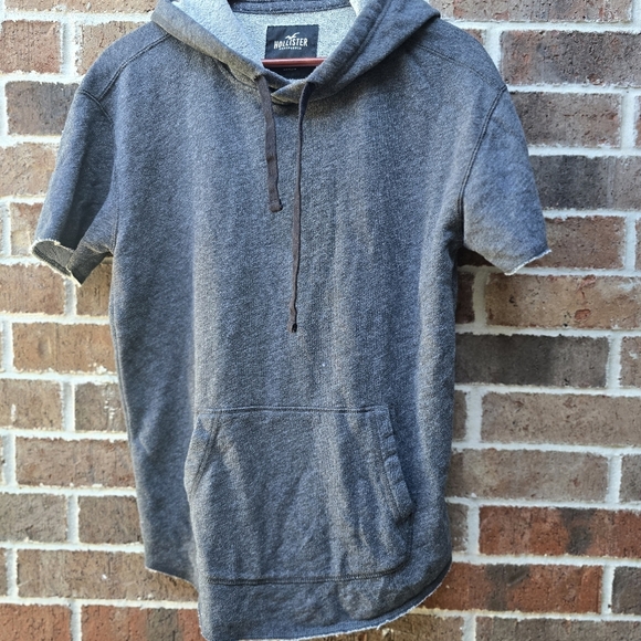 Hollister Gray Short Sleeve Hoodie for Men - Picture 2 of 11